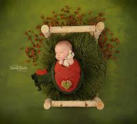 Newborn And Family Photography image 7